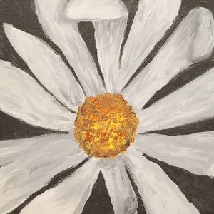 Meet your Posher, Jen